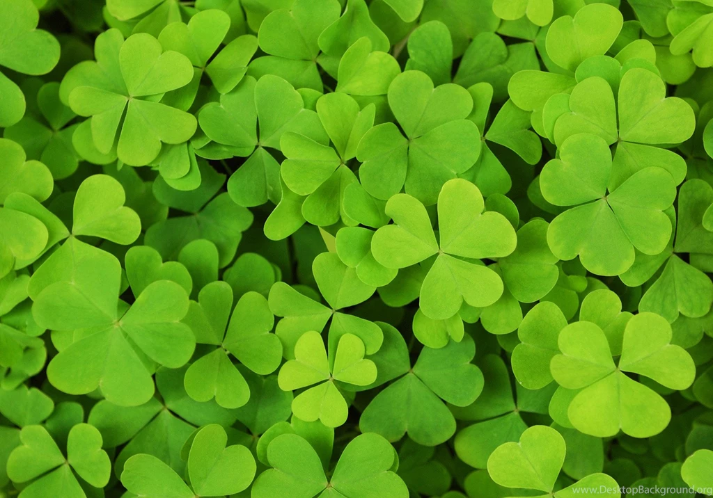 Shamrock Backgrounds Wallpapers Zone