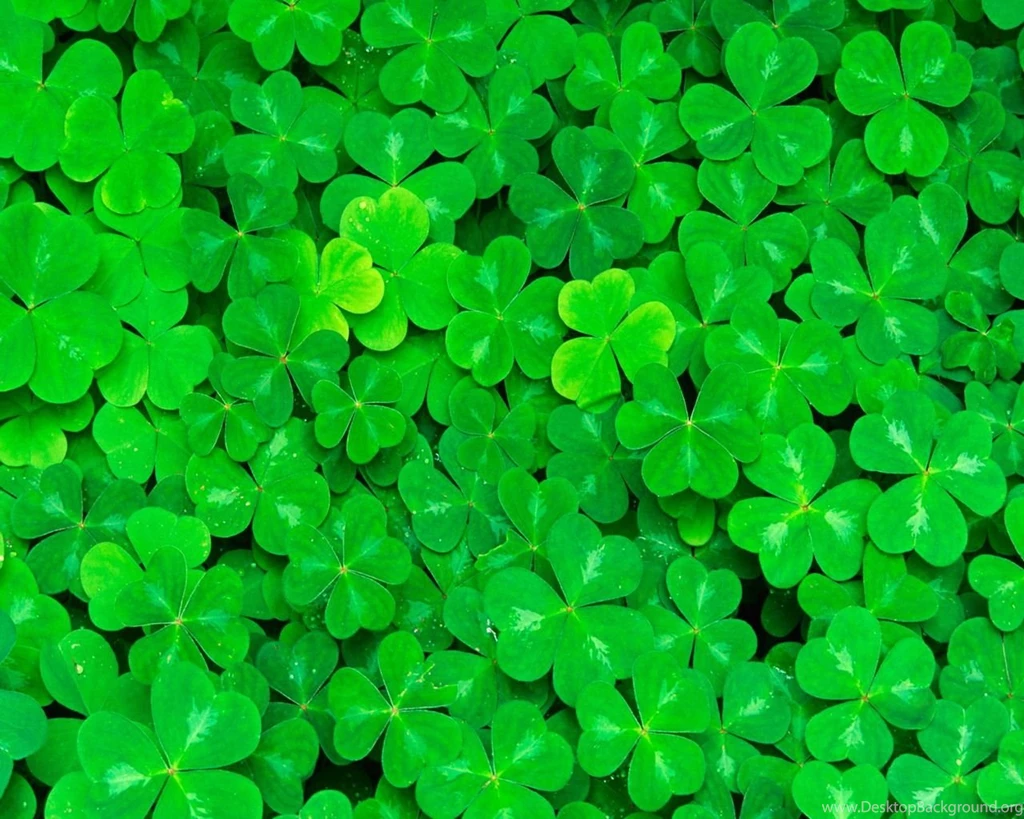 Shamrock Wallpapers 2016 5 Wallpapers Around The World