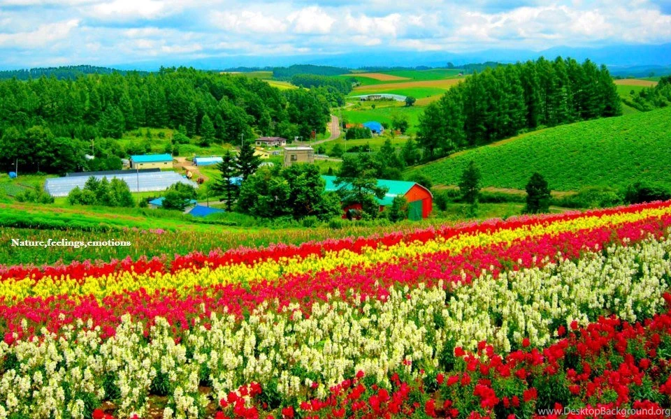 Amazing And Beautiful Wallpapers Of Natural ScenesPhotography Heat ...