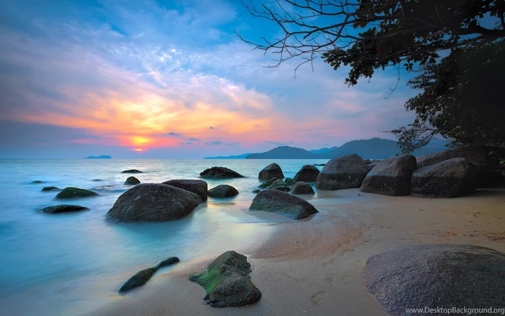 Beaches Sunset Sky Rocky Beach Blue Oceans Pink Sunsets Trees ...