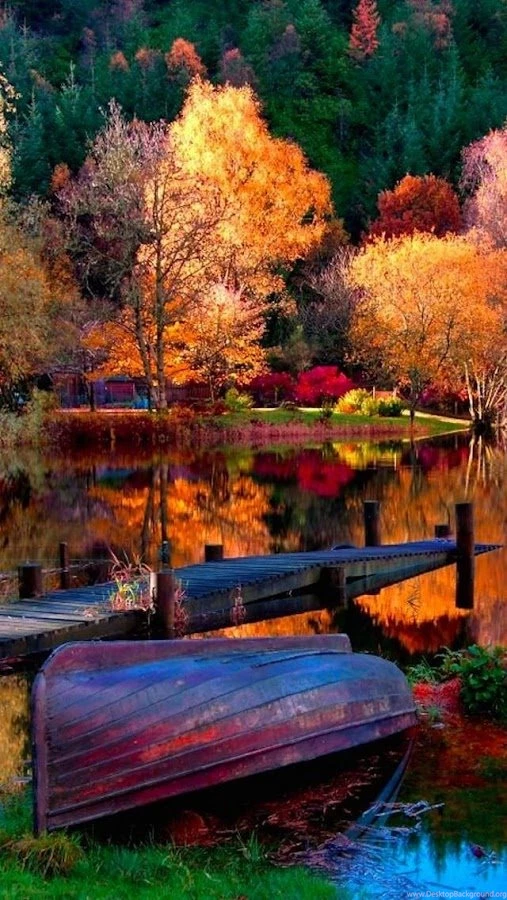 Wallpapers Android Apps On Google Play