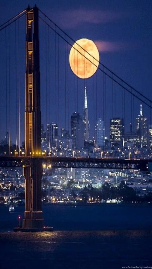 Wallpapers Android Apps On Google Play