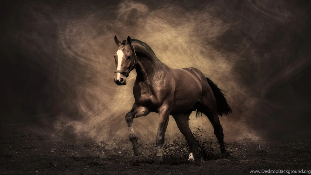 Arabian Horse Hd Wallpapers
