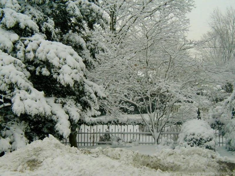 Amazing Winter Scene