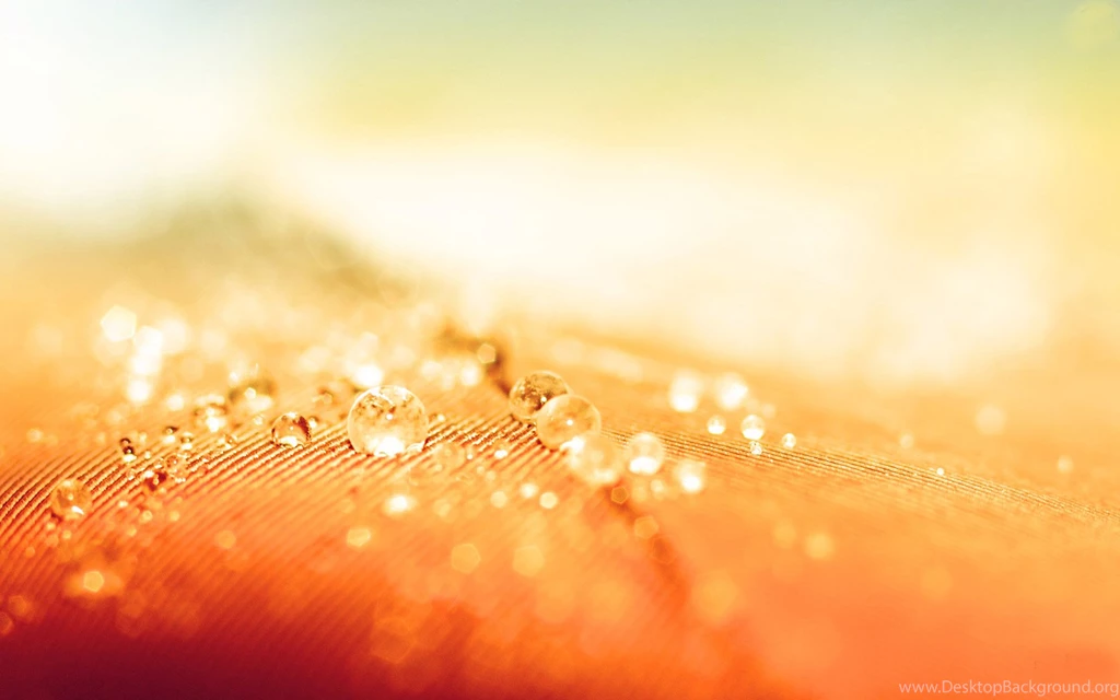 Orange Abstract Wallpapers