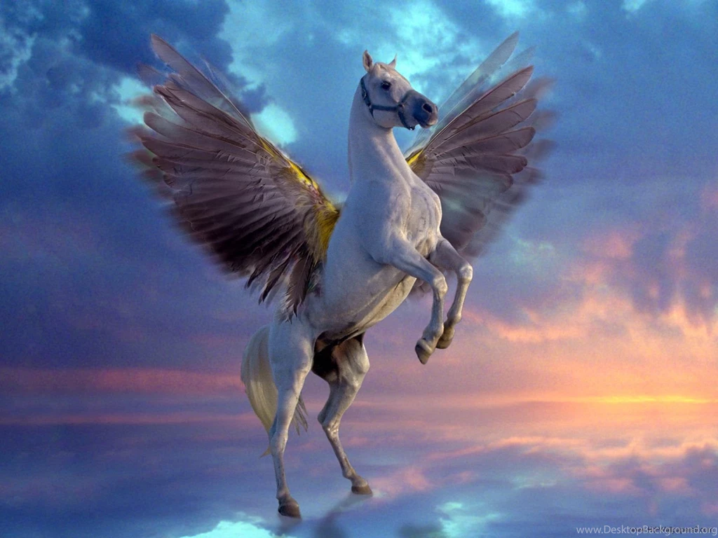 Flying Horse Wallpapers