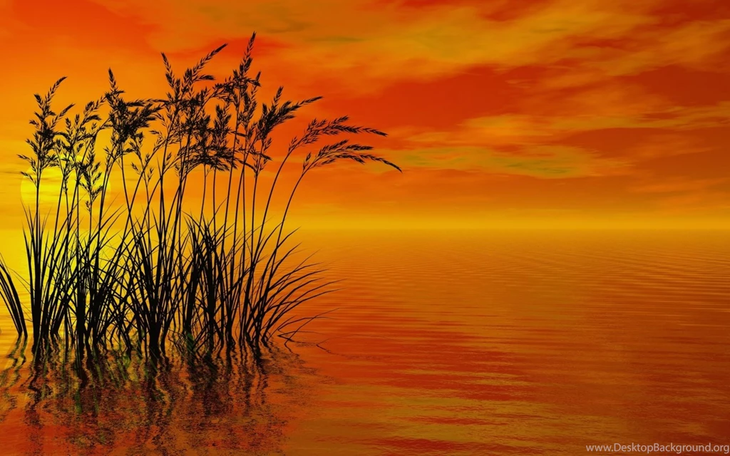 Windows 8 Wallpapers 3D Sunset Render