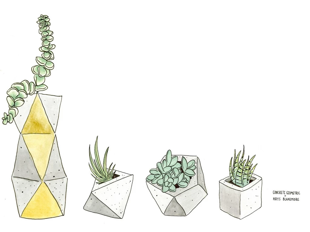 Wallpapers Plants —