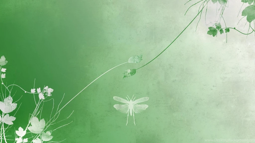 Green Floral, 1920x1080 HD Wallpapers And FREE Stock Photo