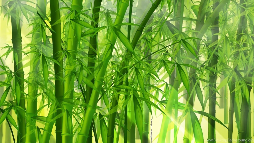 Forest Hd Wallpapers   All Wallpapers New