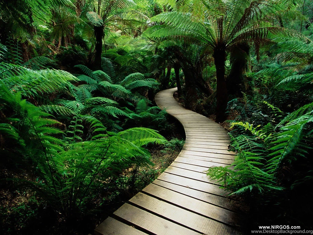 Wallpapers Free Download Collection (37+)