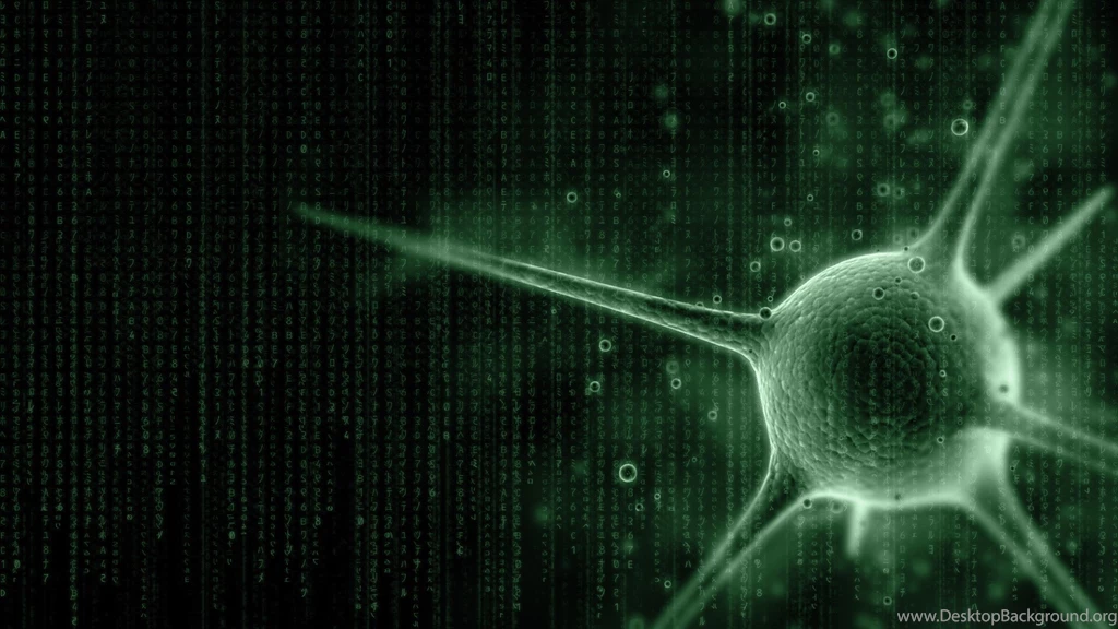 Matrix Desktop Backgrounds Wallpapers   Mbagusi.com