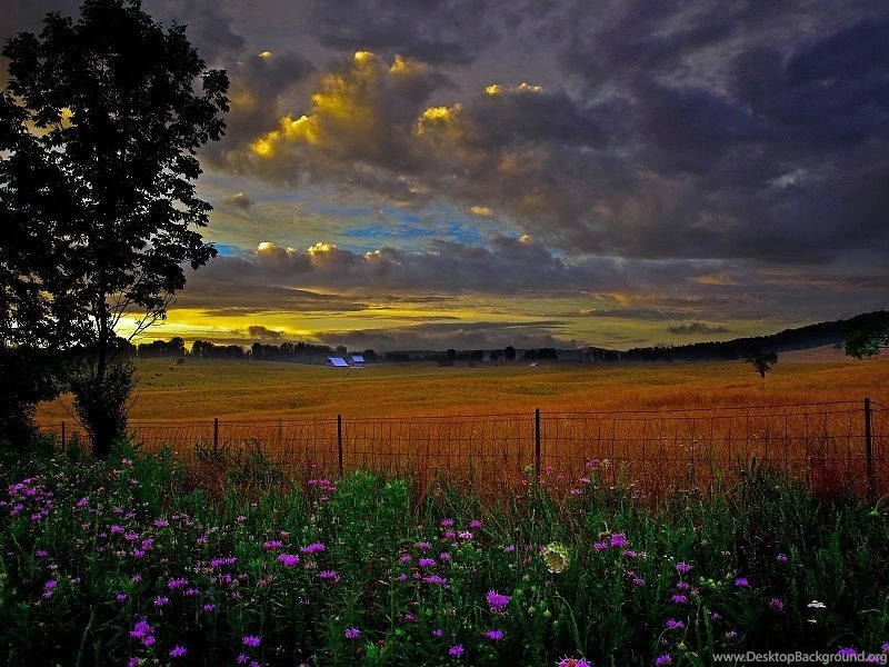 Scenic country farm evening View Free Desktop Backgrounds And ...