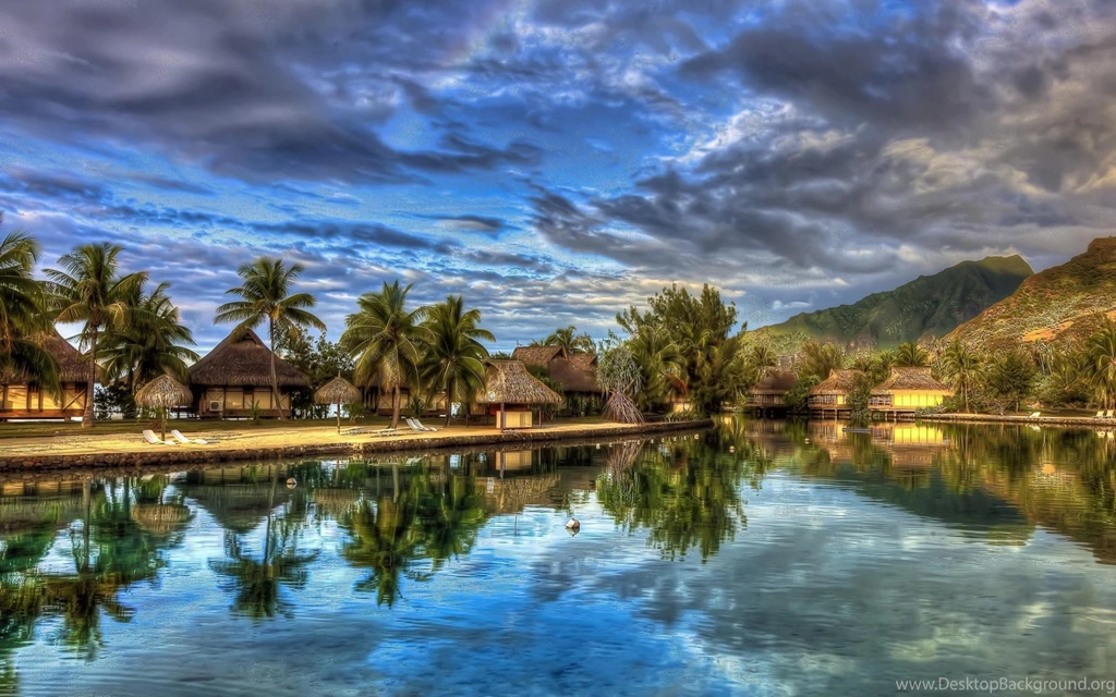 Exotic Desktop Backgrounds Of Exotic Places How To Plant Bird Of ...