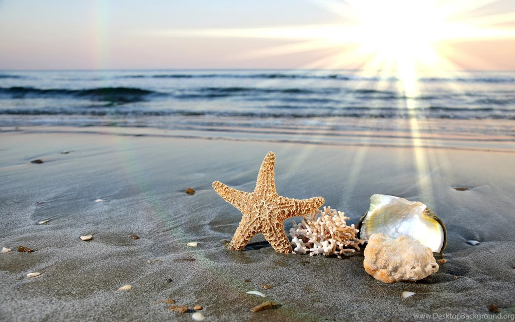 Exotic Beaches New Wallpapers Desktop