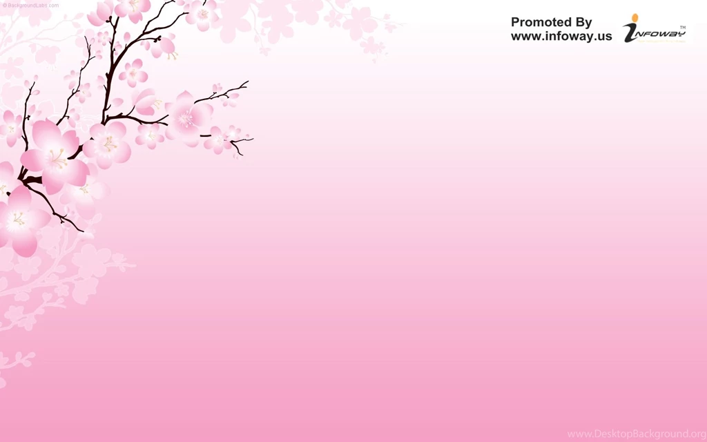 Blossoms Flower Wallpapers Photo 101 Of 329