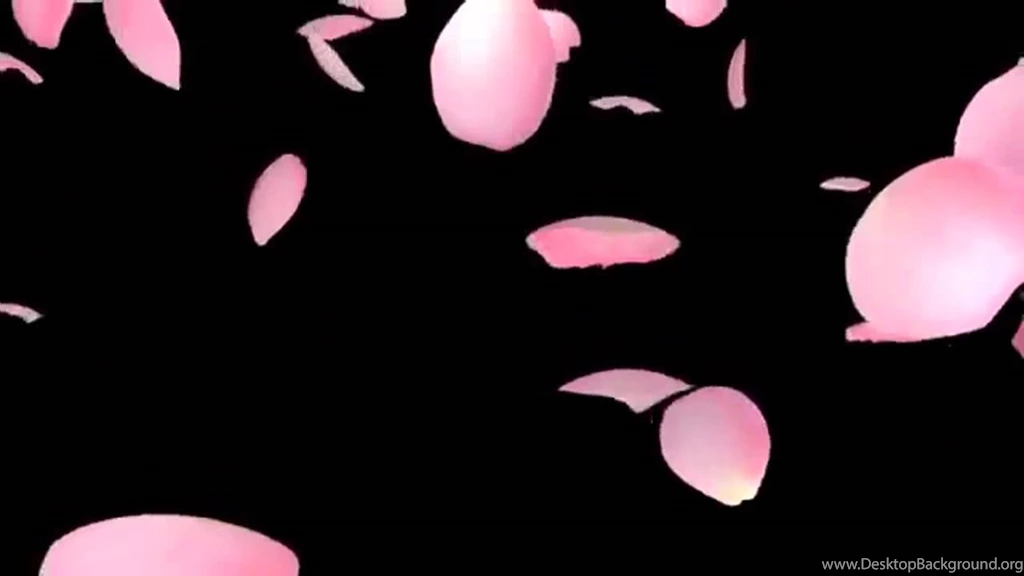 Cherry Blossom (Sakura) Falling Backgrounds YouTube