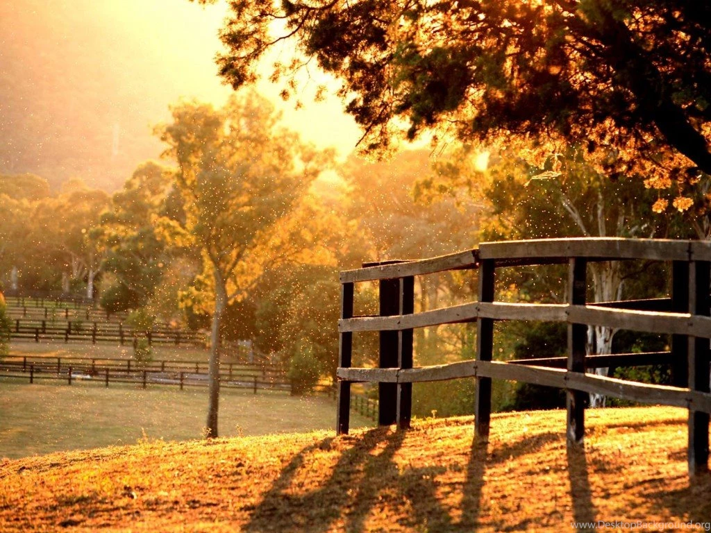 Good Morning With The Sun Rise