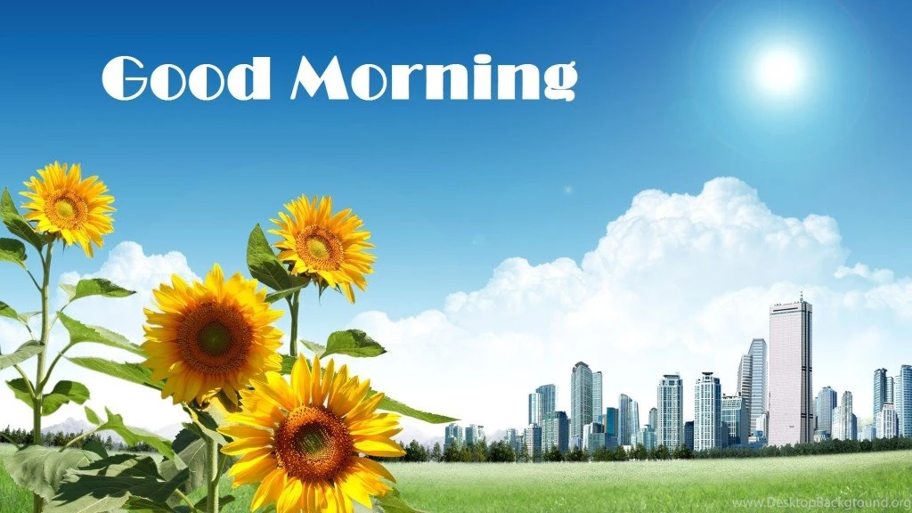 Good Morning