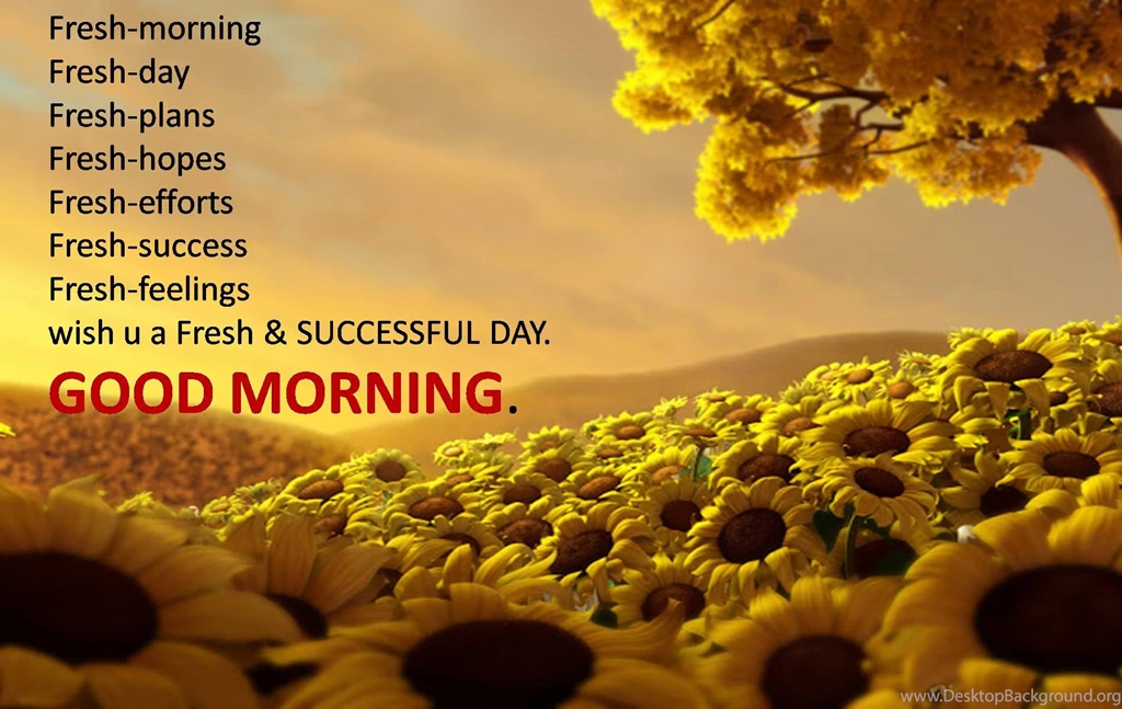 2560x1600 Good Morning Backgrounds By Robie Delaney