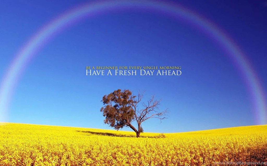 Good Morning Wallpapers Download, HQ Backgrounds