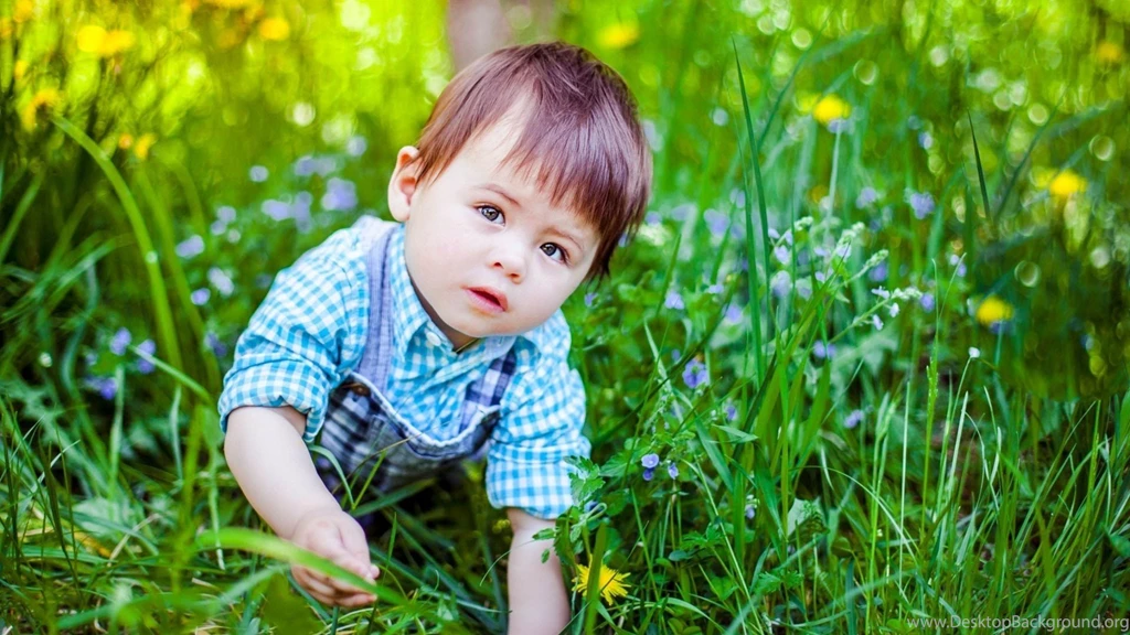 Cute Boy In Grassland Wallpapers   Gallsource.com