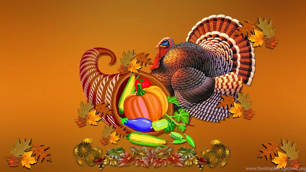 Animal Wallpaper: Cute Turkey Desktop Wallpapers For Desktop ...