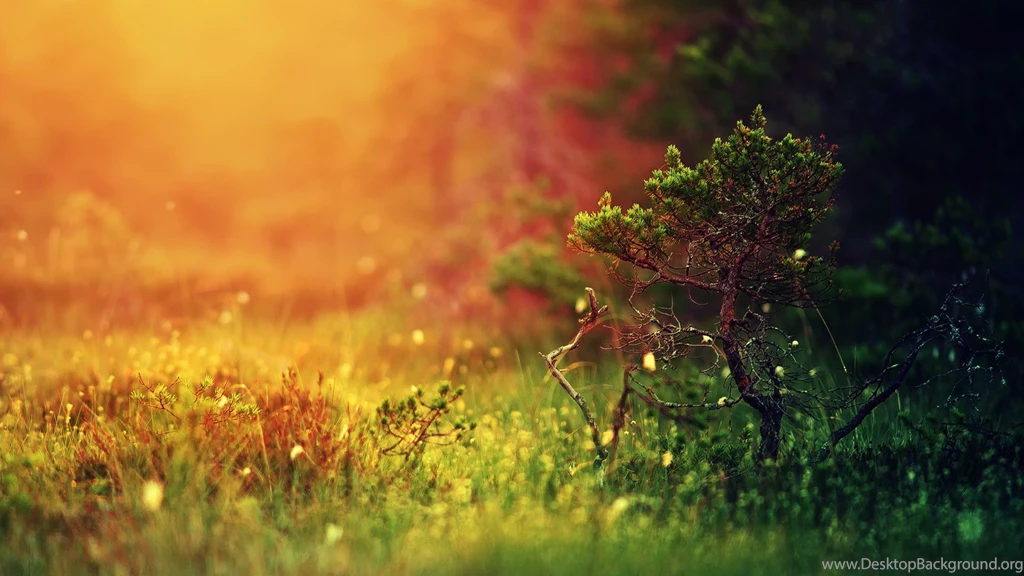 Free Bokeh Mac Wallpapers, iMac Wallpapers, Retina MacBook Pro ...