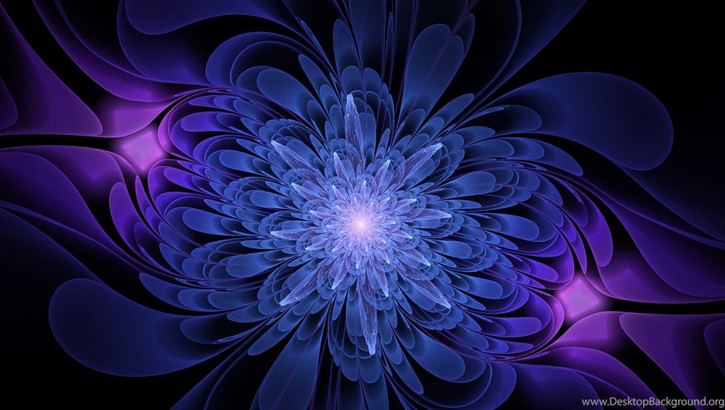 Colorful Flowers Dark Backgrounds Wallpapers HD Wallpapers ...