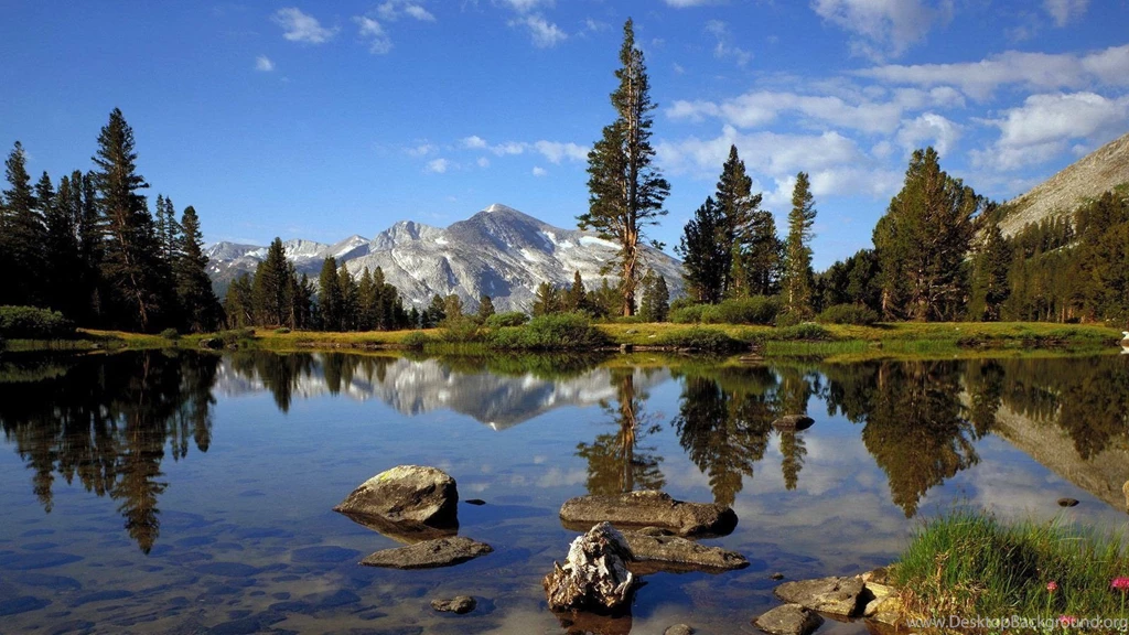 HD Desktop Wallpapers 1600x900 Best HD Desktop Wallpapers 1080p HD ...