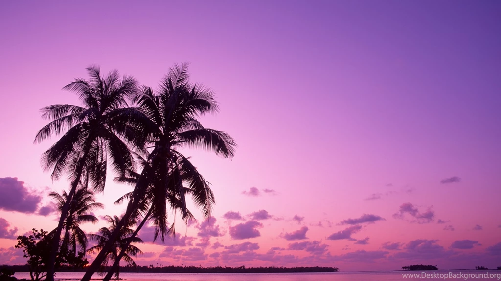 Lilac Sunset Wallpapers