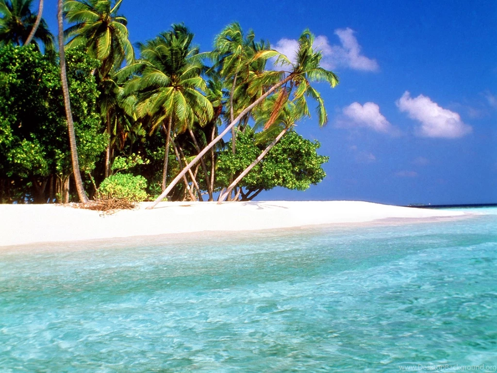Tropical Beach Wallpapers C8Y6K HD Wallpapers Desktop Backgrounds