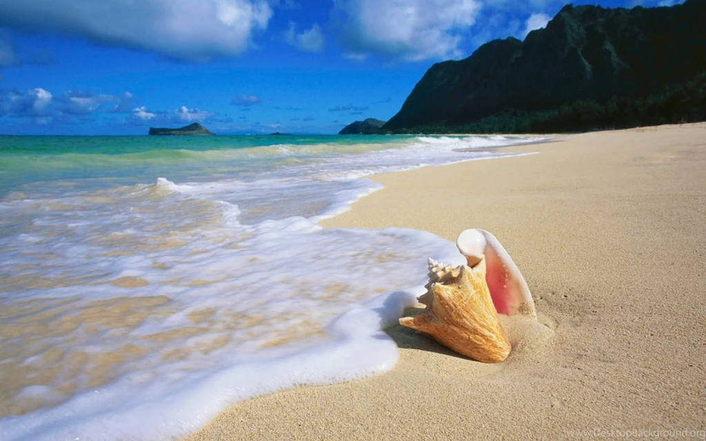HD Beach Wallpapers 927 1600x1000 Px ~ WallpaperFort.com