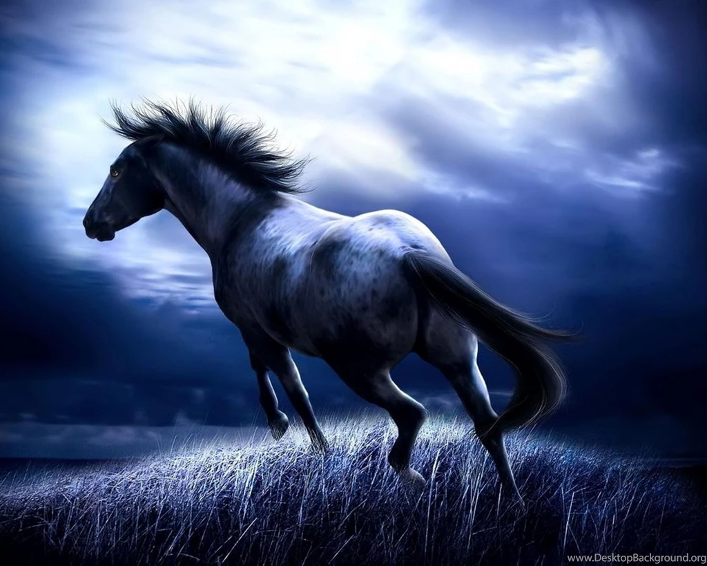 Hd Wallpapers For Tablets Free Download 1