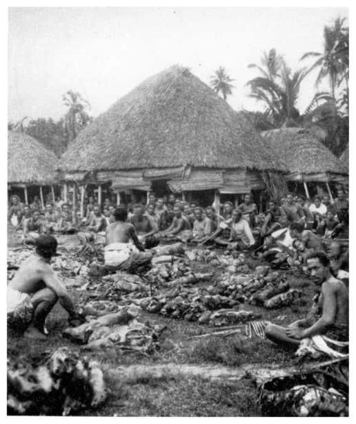 Samoan Feast With Typical Houses In The Background.