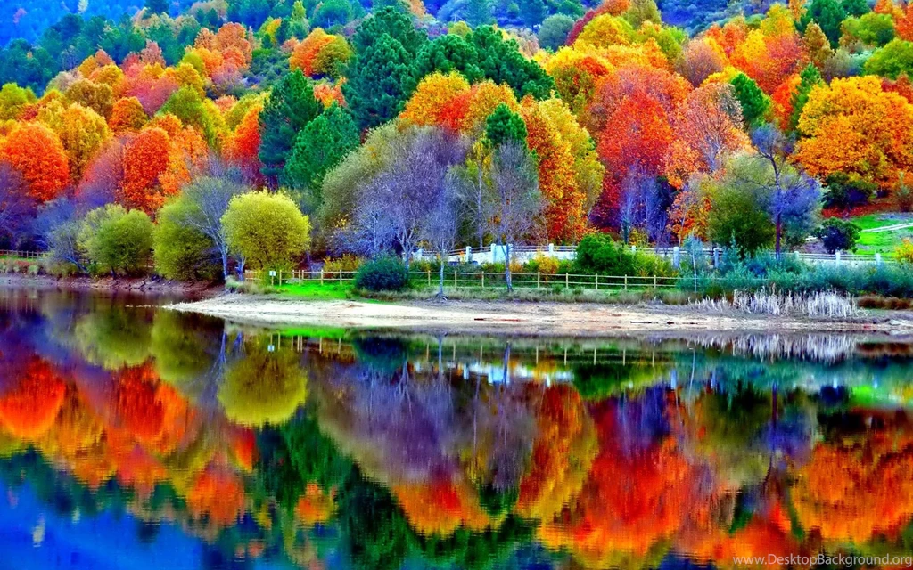 Beautiful Autumn Lake Scenery Wallpapers