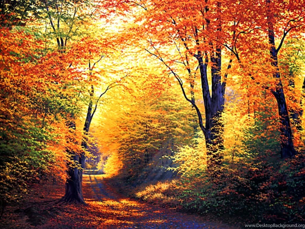 Autumn Desktop Backgrounds Free All Wallpapers New