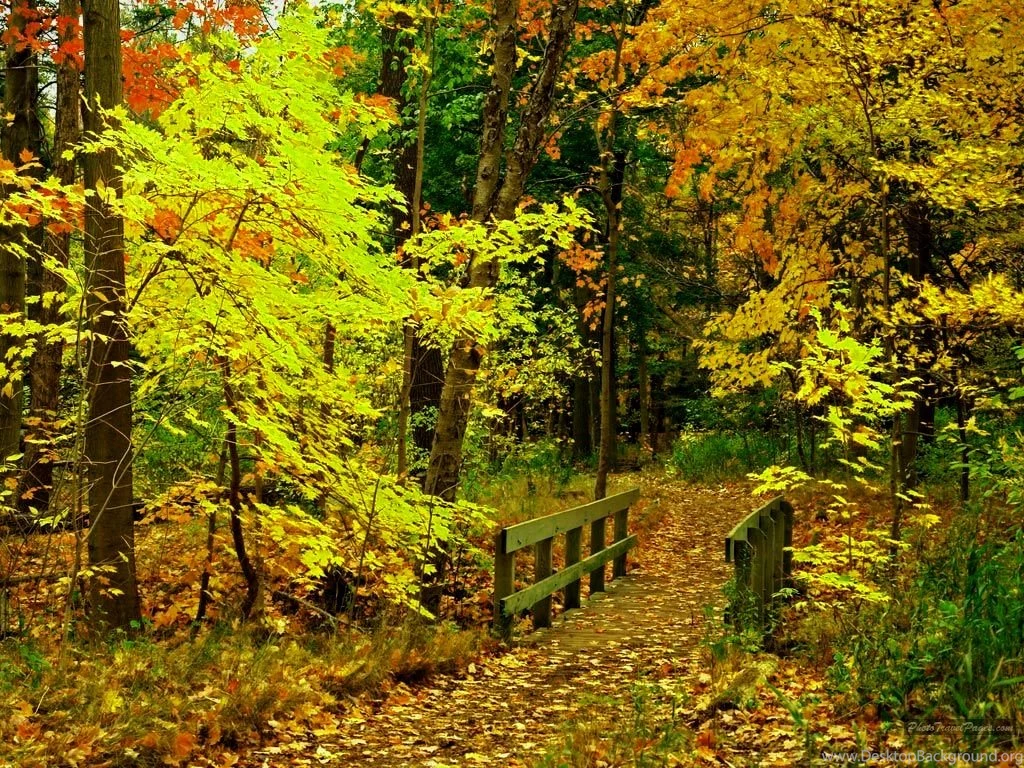Free Desktop Wallpapers Fall Scenes – 1024×768 High Definition ...