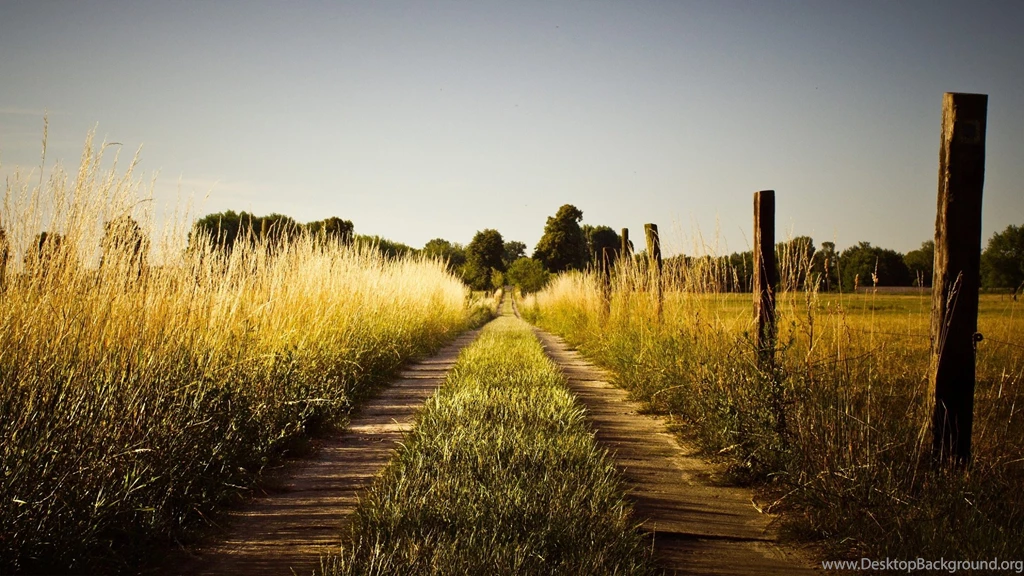 Country Road Wallpapers