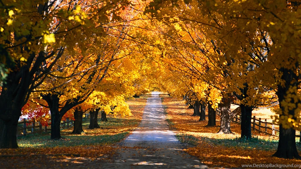 Country Road   Wallpaper.