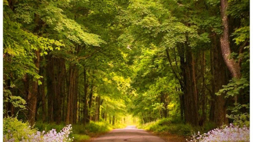 Country Road Wallpapers (