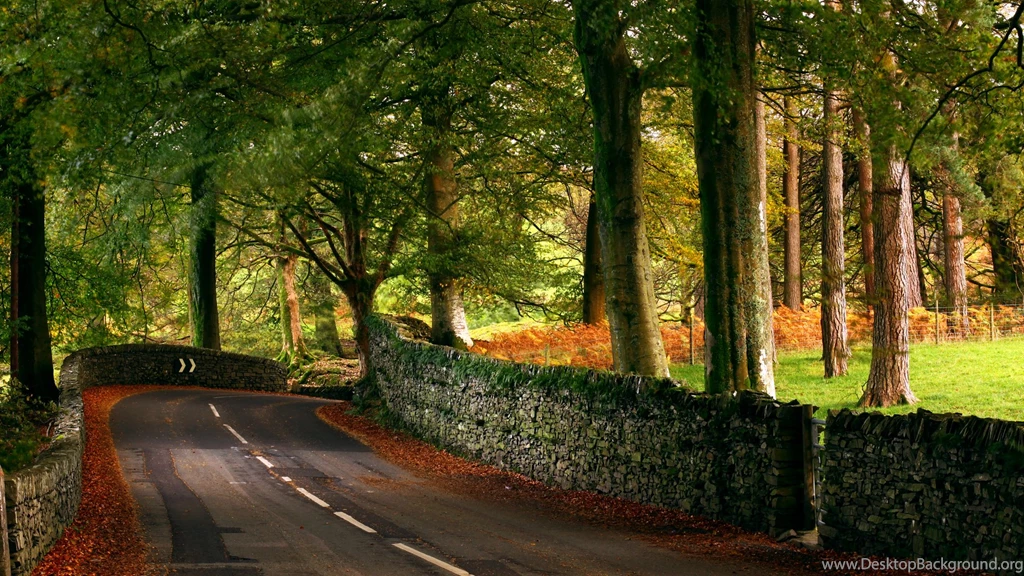 Country Road Up Close Wallpapers 7141 2560 X 1600   WallpaperLayer.com