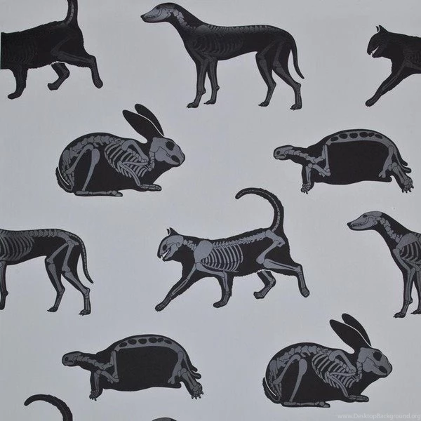 Paper Boy Wallpapers For Children