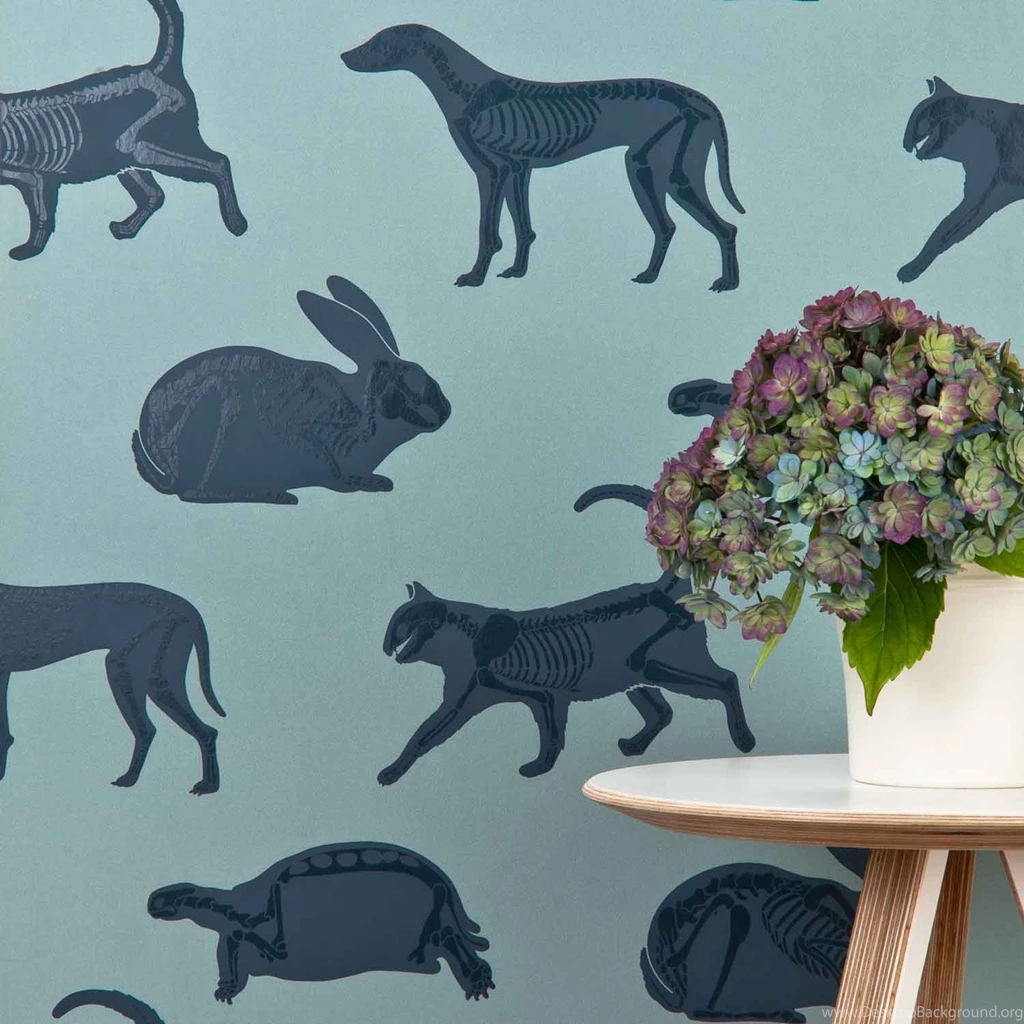 Blue Animal Wallpapers For Kids Bedroom