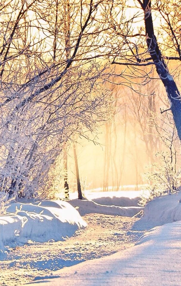 I'm Going To Change My Wallpapers On My Phone Everyday Until The ...