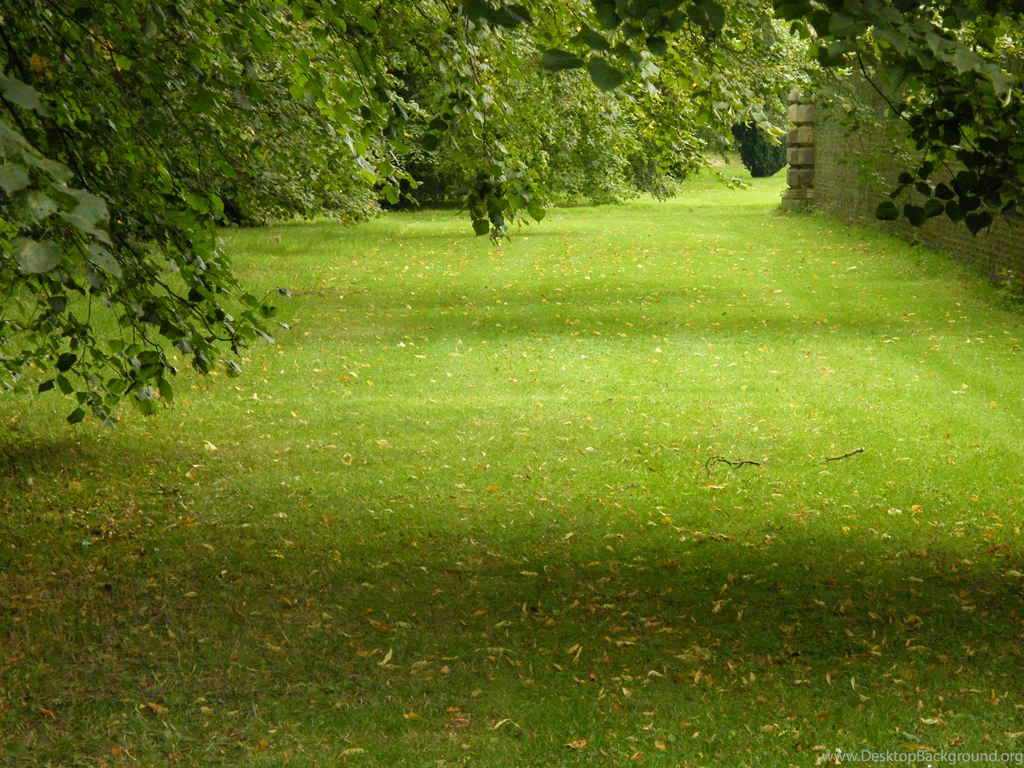 Wallpapers Meme Suriontwilight