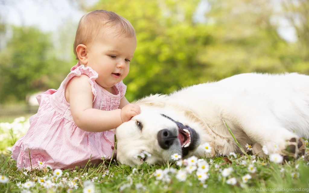 Little Baby And Dog Cute Wallpapers HD Download Desktop