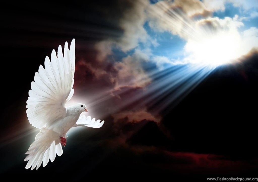 Nice Desktop Backgrounds Wallpapers