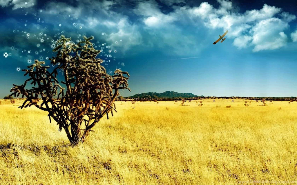 Desktop Backgrounds Nature Nice Pic