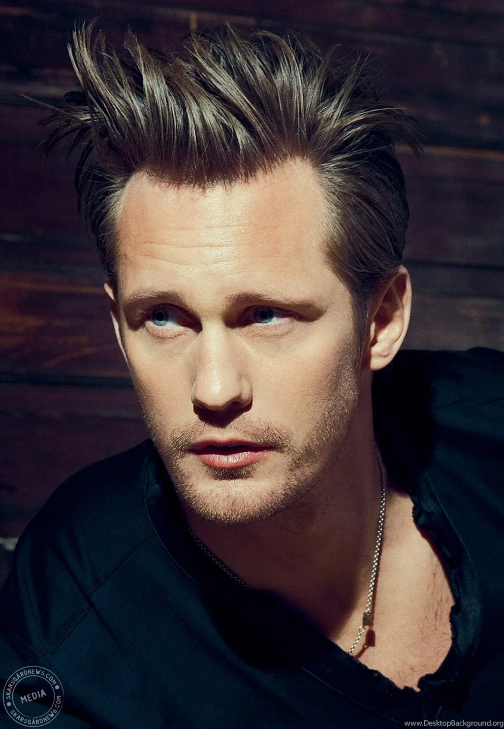 Download Alexander Skarsgard Wallpapers 1071x1549